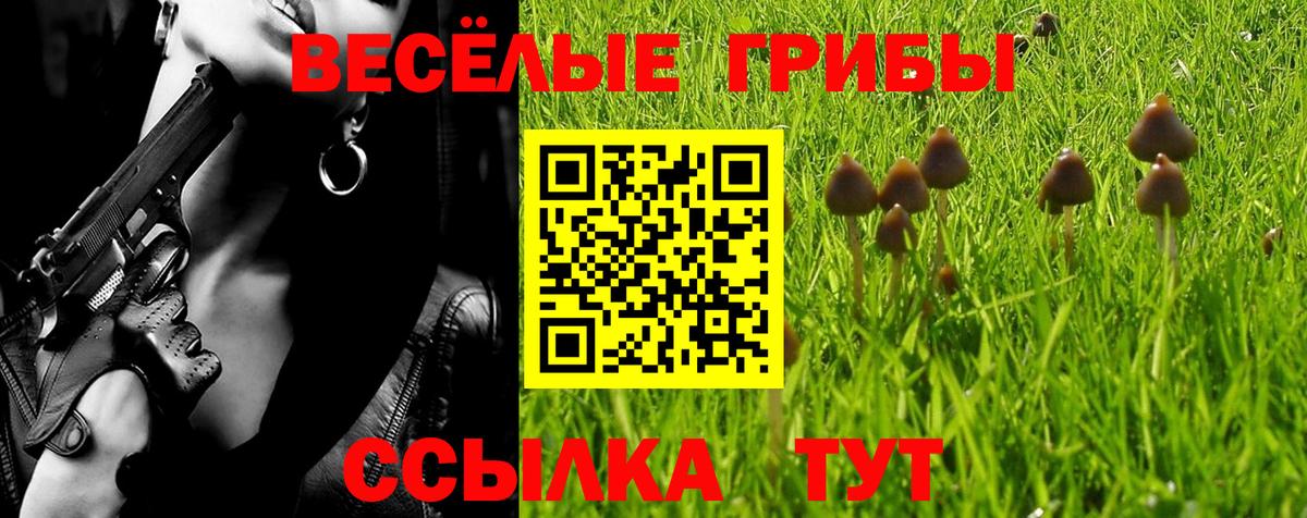 Трёхгорный  Псилоцибиновые грибы MAGIC MUSHROOMS  Вход с VPN  Псилоцибиновые грибы Psilocybe 
